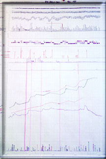 Season Profile Chart